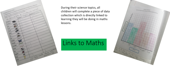 Links to Maths