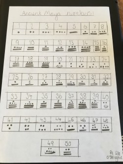 image1 (1)